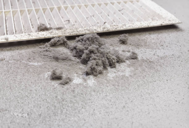 Best Air Duct Cleaning Near Me  in South Lyon, MI