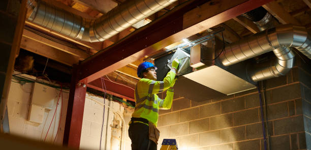 Air Duct Mold Removal in South Lyon, MI